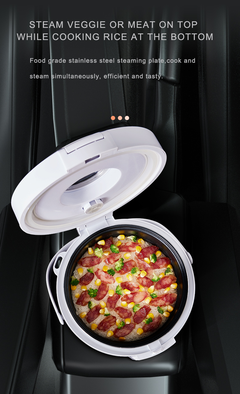 Olla Arrocera de 24V, Calentad - Camping Cooking Meals reseña y precio