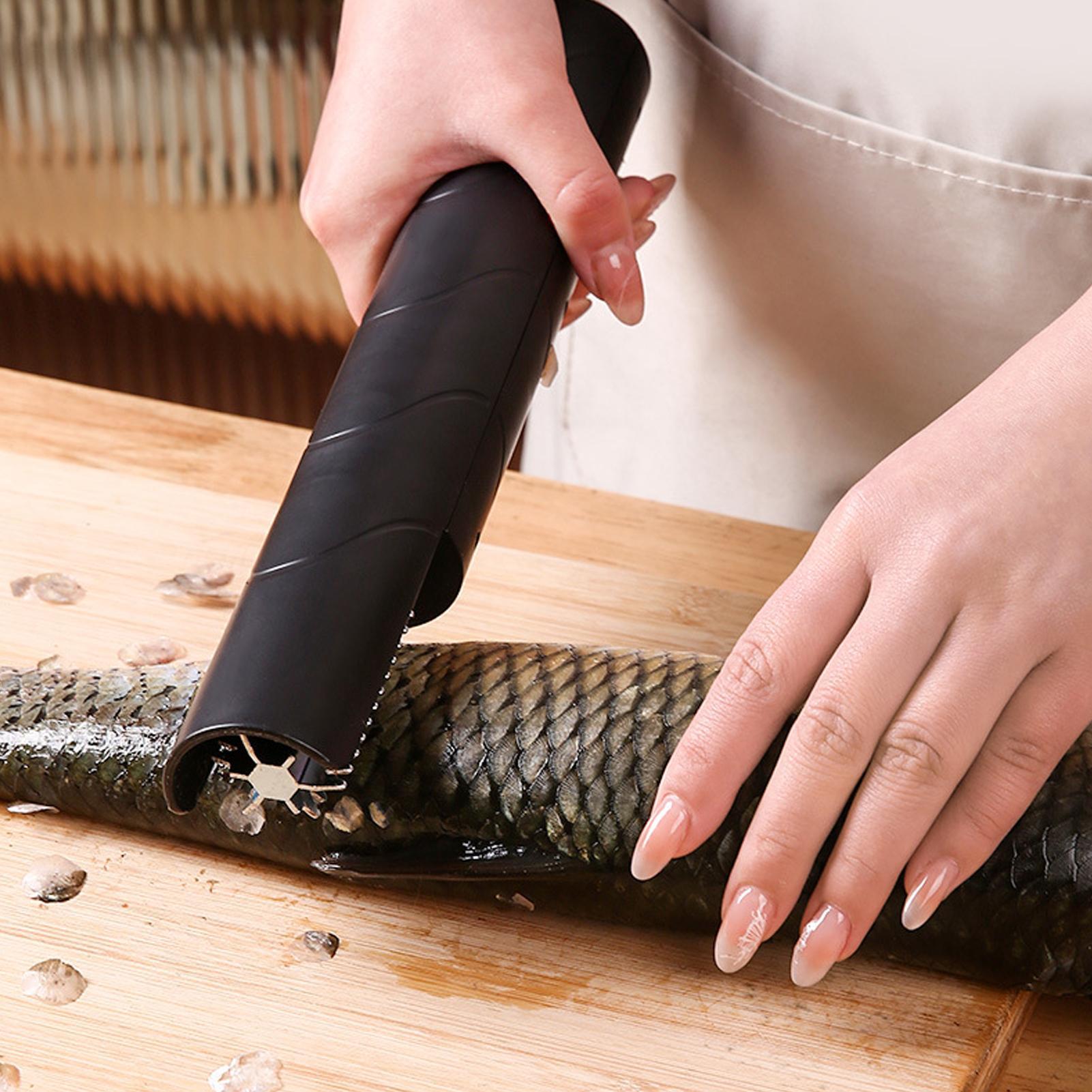 Descamador de Pescado Inalámbr - Camping Cooking Meals reseña y precio